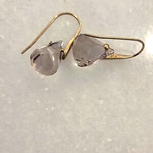 Swarovski Elegant Gold and Gray Earrings